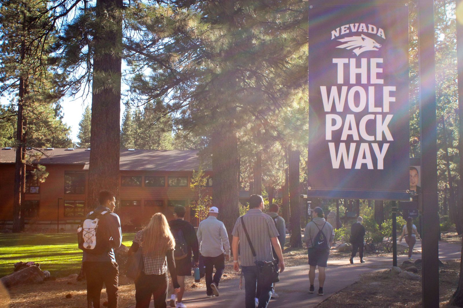 Students walking through the pines on the Lake Tahoe campus